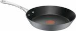 Tefal E91702 Gourmet Anodised Frypan (20cm) $25.20 + Delivery ($0 w Prime /$39 Spend /TGG C&C*) @ Amazon AU & The Good Guys eBay