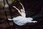 Win 1 of 5 Double Passes to 'Giselle' from Limelight