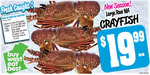 [WA] Wild Caught Crayfish $19.99 (Raw) / $21.99 (Cooked) @ Farmer Jack's