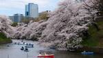 All Nippon Airways: Tokyo, Japan Direct from Sydney from $963 Return [Nov-Aug] @ Beat That Flight