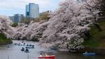 Singapore Airlines Return to Tokyo, Japan from PER $717, SYD $878, ADL $889 & More (Various Dates) via SIN @ Beat That Flight
