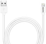 ADATA Sync Charge Lightning Cable (Apple Approved) White - $2 Each + Shipping / Free Pickup @ Umart