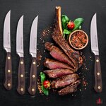 Wüsthof Crafter Steak Knife 4 Piece Set $439.95 Delivered @ House of Knives