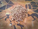 1kg Tanzanian Kilimanjaro Fresh Roasted Coffee $27.95 FREE Shipping @ Safariroast.com.au