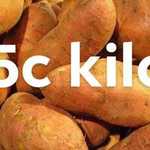 [QLD] Gold Sweet Potatoes $0.05/kg @ Northside Fruit Barn (Rothwell)
