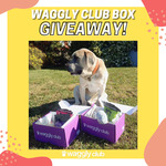 Win 1 of 6 Waggly Club Box 6-Month Subscriptions Worth $270 from Waggly Club