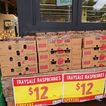 [NSW] 1 Tray of 12 Punnets of Raspberries (125g) $12 @ Harris Farm, Lindfield