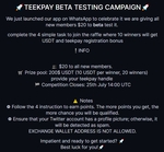 Beta Test TeekPay to Win 10 USDT @ TeekPay via Gleam