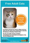 Free Adoption for Adult Cats This Long Weekend - Cat Haven WA