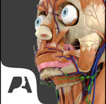 [iOS] App "Pocket Anatomy - Interactive 3D Human Anatomy and Physiology" $0 @ iTunes (Was $14.99)