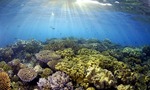 Win a Great Barrier Reef Adventure for 2 Worth $7,500 or 1 of 10 Prize Packs Worth $50 from WWF-Australia