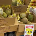 [VIC] Malaysian Musang King Durian $19.99/kg @ KFL Braybrook