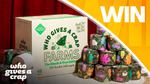 Win 1 of 16 Who Gives a Crap Stack-a-Tree Limitied Edition 100% Bamboo Toilet Paper (48 Rolls) Worth $66 from Seven Network