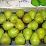 [QLD] Williams Pears - $0.69/Kg @ Supa Fruta Fruit Market (Keperra)