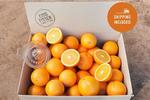 10kg Juicing Oranges (Kingfisher Citrus Narrung, VIC) $38 Delivered @ Farmhouse Direct