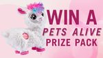 Win 1 of 3 Pets Alive Toy Packs Worth $100 from Seven Network