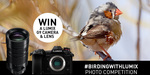 Win a LUMIX G9 Mirrorless Camera + 12-60mm Lens from Panasonic Australia
