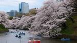 Japan Airlines: Sydney to Tokyo, Japan Direct from $1048 Return (May-Dec) @ Beat That Flight