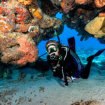 [NSW] Sydney Learn to Dive to 30 Metre - Open Water & Advanced Course Combo Voucher $799 (Save $499) @ PRO DIVE
