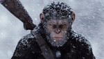 Win 1 of 10 DPs to War for the Planet of the Apes from The Reel Word
