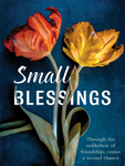 Win One of 5 copies of Small Blessings by Emily Brewin with Female.com.au