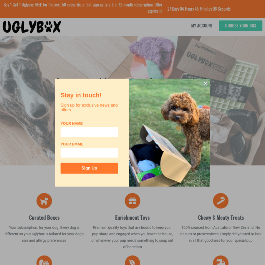 dog subscription box australia