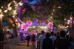 Win Tickets to Adelaide Fringe from City of Adelaide