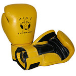 Brand New Leather Boxing Glove HUGE SAVING Only $45 FREE postage RRP$75