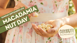 Win 1 of 8 Macadamia Prize Packs Worth $100 from Australian Macadamia Society