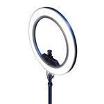 Elgato Streaming Ring Light $164.98 (50% off) + Delivery ($0 C&C) @ EB Games