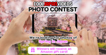 Win a ¥30,000 or 1 of 5 ¥10,000 Amazon Gift Cards From Cool Japan Videos