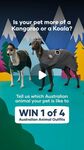 Win 1 of 4 Australian Animal Outfits for your dog worth $50 from Petbarn