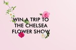 Win a Trip to London for The 2017 Chelsea Flower Show worth $9,513 [VIC Residents Only]