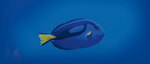 Sea Life Melbourne Ticket - Buy One Get One Free: Adult $46, Child (3-15) $32