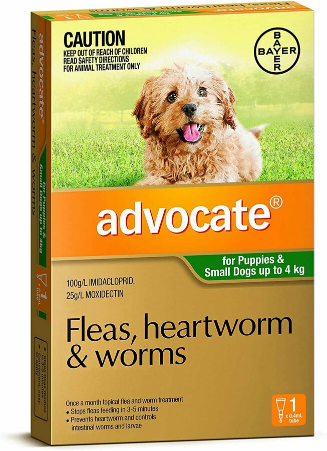 Advocate Flea and Worm Treatment for Puppies & Small Dogs up to 4kg ...