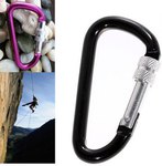 D-Lock Carabiner Buckle Clip with Nut USD $0.01 Delivered @ Gearbest