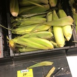 [NSW] Sweet Corn $0.29 @ Woolworths Neutral Bay Junction