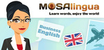 [Android] Free 'Learn Business English' by MosaLingua (Was $7.99), Earth HD Deluxe Edition (Was $1.29) @ Google Play