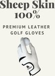 Premium Leather Golf Glove 1 Piece $11 (Was $18) + Delivery @ Dolbom Australia