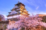 Japan Airlines Ret: Osaka MEL $960, SYD $893. Fukuoka SYD $884, MEL $823. Nagoya MEL $817, BNE $968, SYD $921 @ IWTF