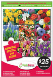 GardenExpress Showbag 240 Spring-Flowering Bulbs for $25 + $9.50 Delivery Or Pickup Monbulk/MIFGS