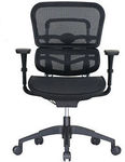 Ergohuman V3 Office Chair $381.65 + Variable Shipping @ eBay (from Temple and Webster)