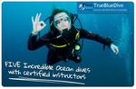 [NSW] $149 Certified Open Water Scuba Diver OR an Advanced Open Water Diver (PADI)