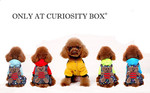 Trendy Pet Suit 2 for $40 + $10 Shipping, or $35 Shipped @ Curiosity Box