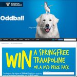 Win a Springfree Trampoline or 1 or 20 Oddball + Pan DVDs (Total value $3017) from Roadshow