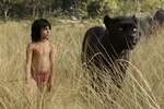 Win 1 of 5 The Jungle Book Packs (Valued at $193ea) from Bmag
