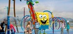 Gold Coast Sea World Resort & Water Park: 4 People with Unlimited Theme Park Entry. 5 Nights - $999 3 Nights $699 [Webjet]