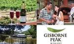 Only $39 for 2 people, Wine, Wood Fired Pizzas,  Wine Tasting and more at Gisborne Peak Winery.