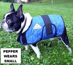 50% off - Dog Cooling Coats $37.50 + $8.50 Shipping @ Coolcoats.com.au