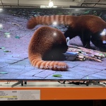 [VIC] Sony 65" X95G 4K UHD TV $2249 ($200 off) @ Costco Docklands (Membership Required)